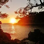 Bandol-maison La Bienvenue 9mn A Pied Mer-calanque Port D'alon-grand Jardin+fibre Wifi *