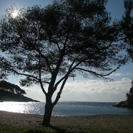 Bandol-maison La Bienvenue 9mn A Pied Mer-calanque Port D'alon-grand Jardin+fibre Wifi Сasa de vacaciones Saint-Cyr-sur-Mer