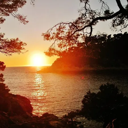 Bandol-maison La Bienvenue 9mn A Pied Mer-calanque Port D'alon-grand Jardin+fibre Wifi *